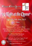 2023-06 Opera Night